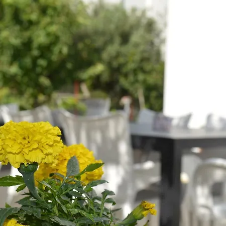 Luce - Dome Сплит